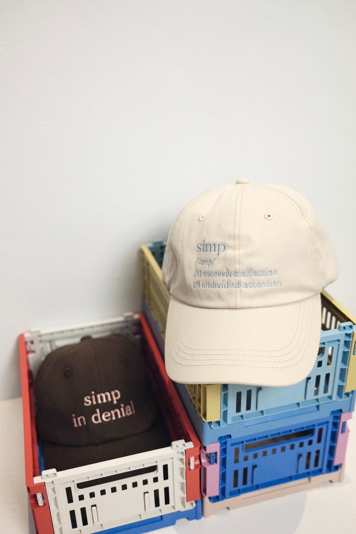 “Definition” embroidery cap