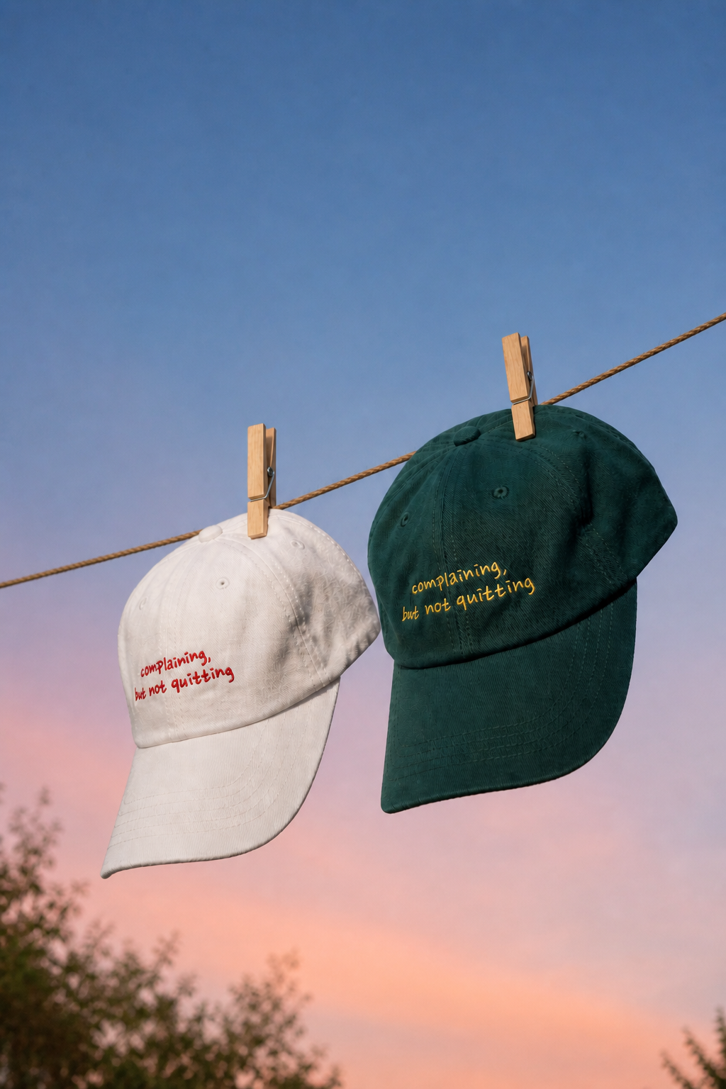 "Complaining but not quitting" embroidery cap (pre-order)