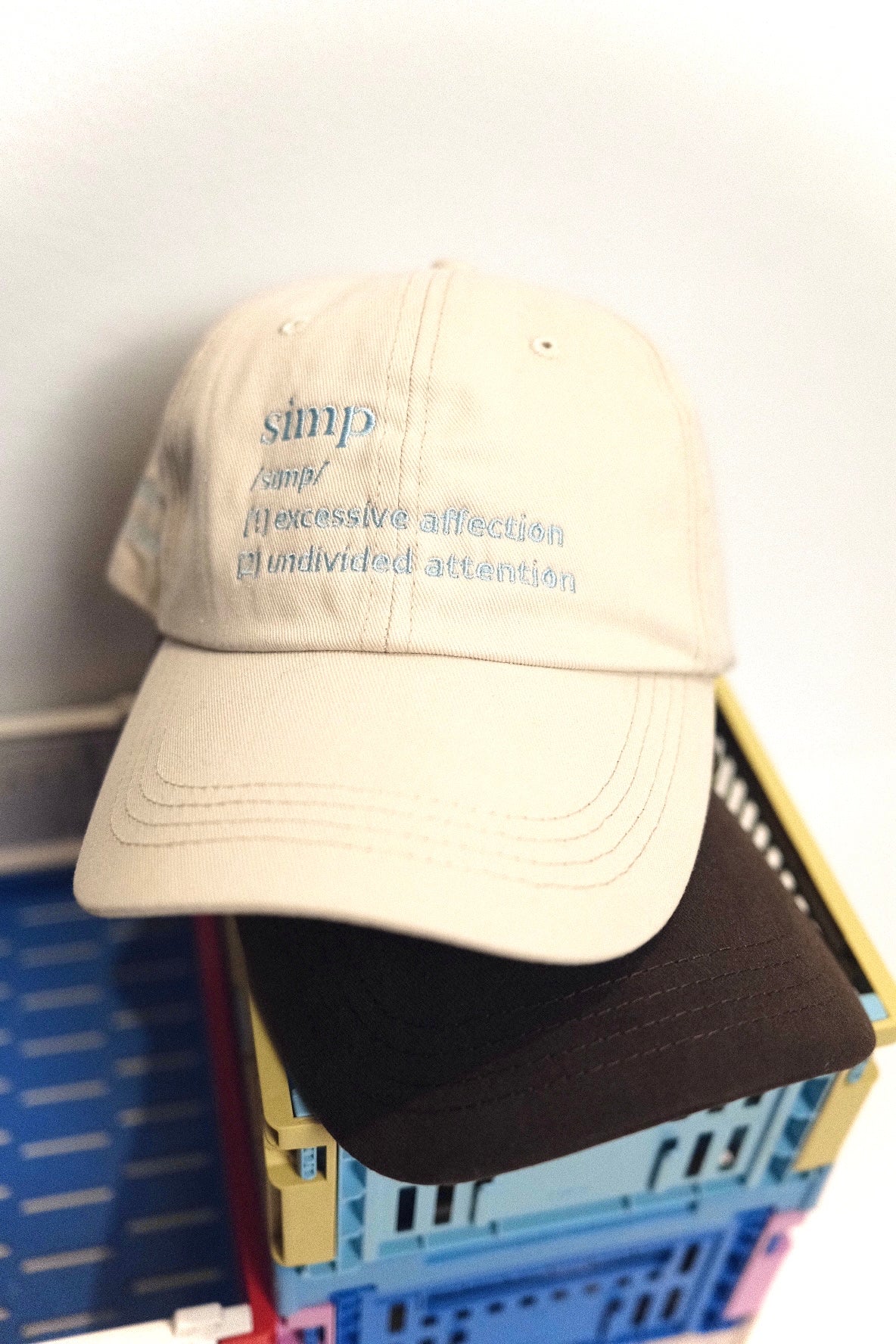 “Definition” embroidery cap